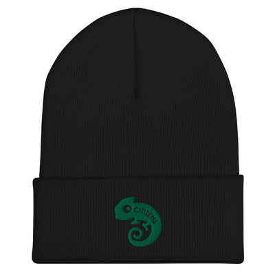 Citizens of the World Beanie