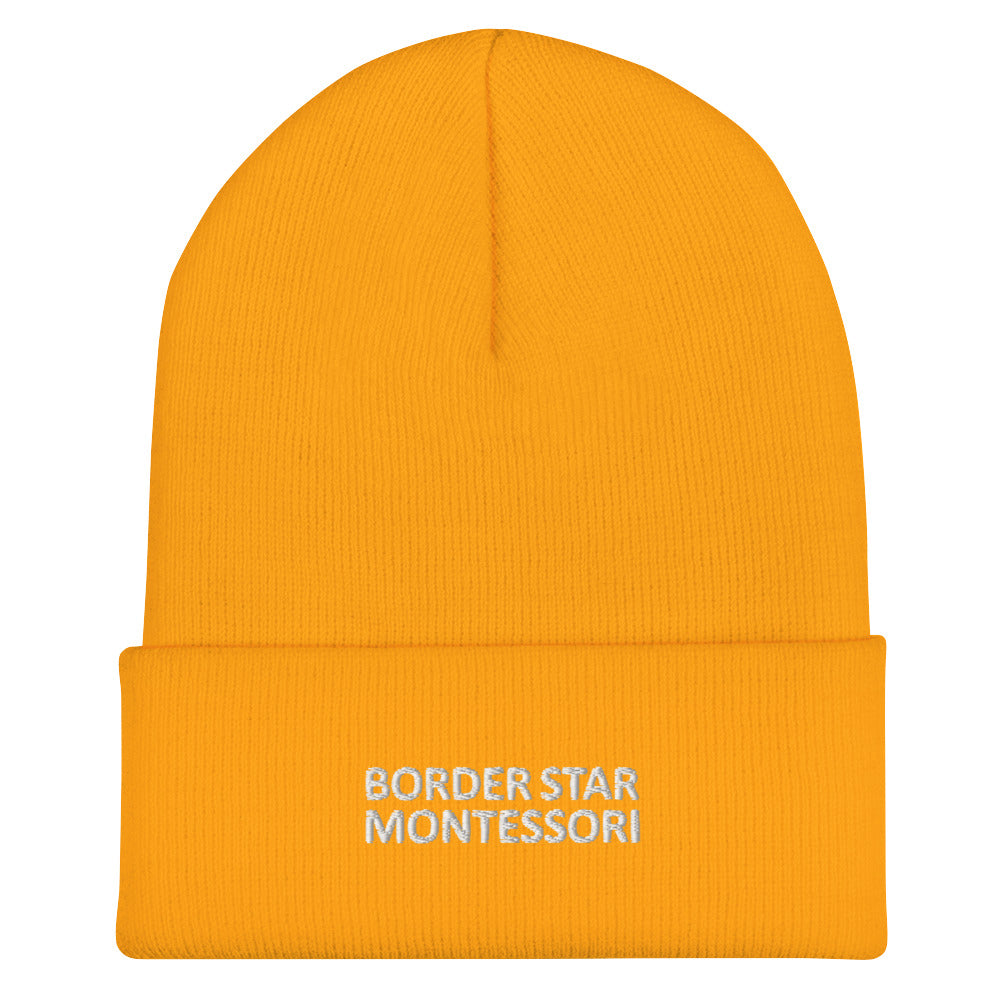 Border Star Cuffed Beanie